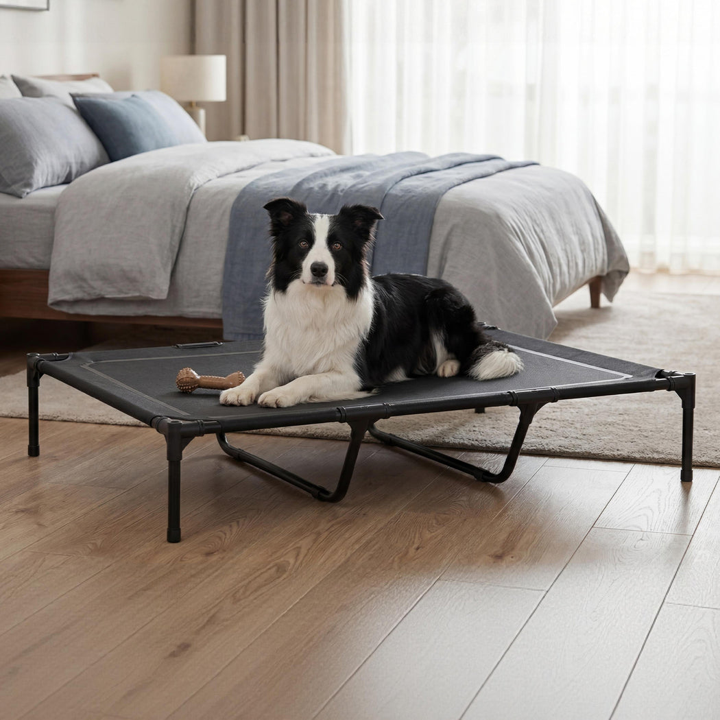Pawz Elevated Dog Bed Heavy Duty Portable Cot Waterproof Pet Raised Bed XL Size-2065254305828573190