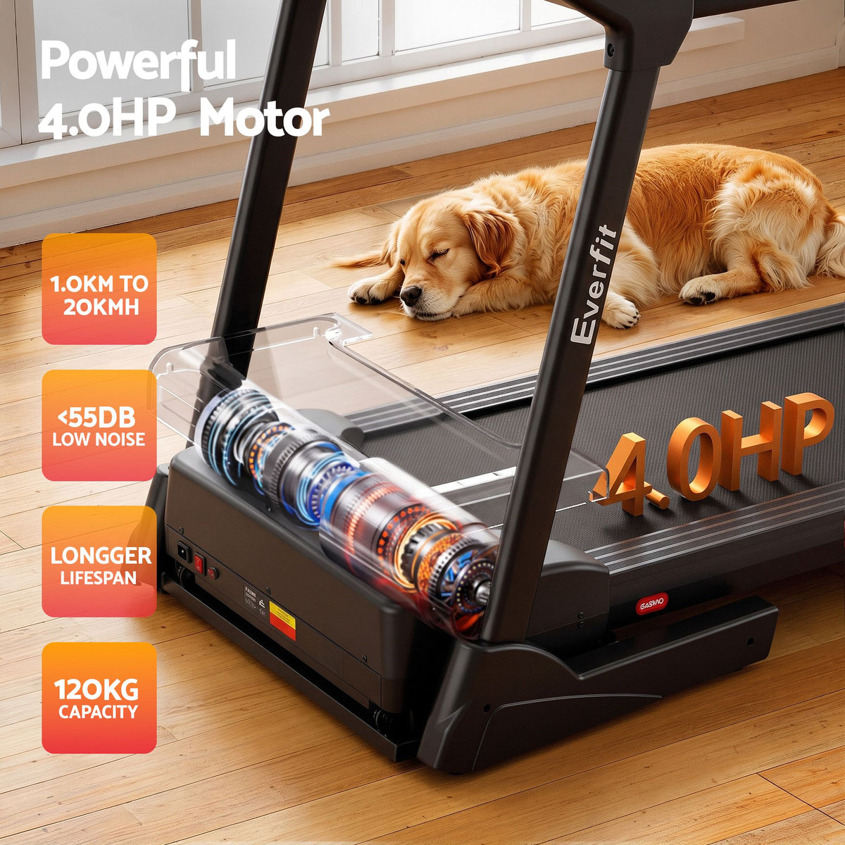 Everfit 3in1 Electric Treadmill with 3-Level Incline for Home Gym Fitness Foldable 460mm Black