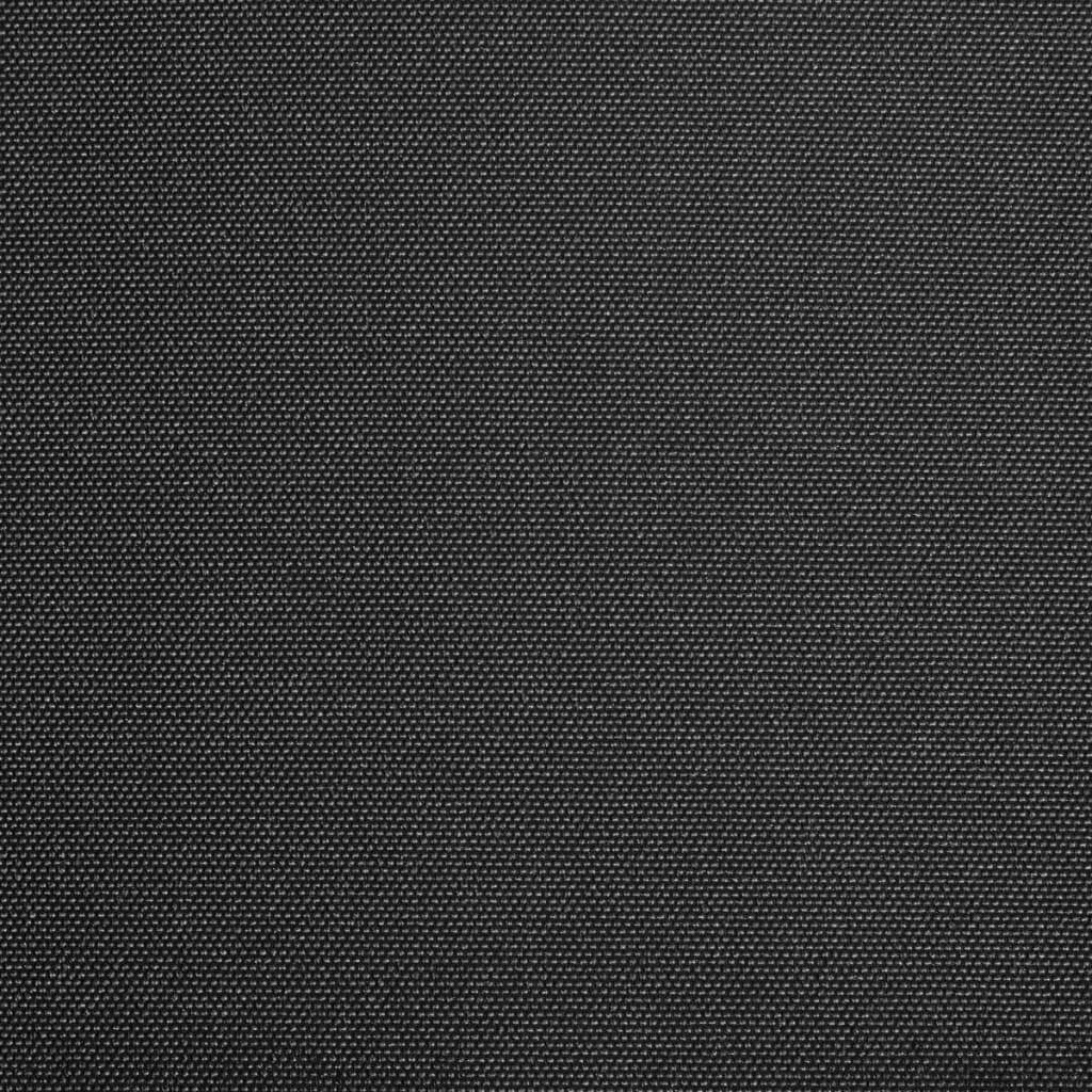 Awning Top Sunshade Canvas Anthracite 300x250 cm