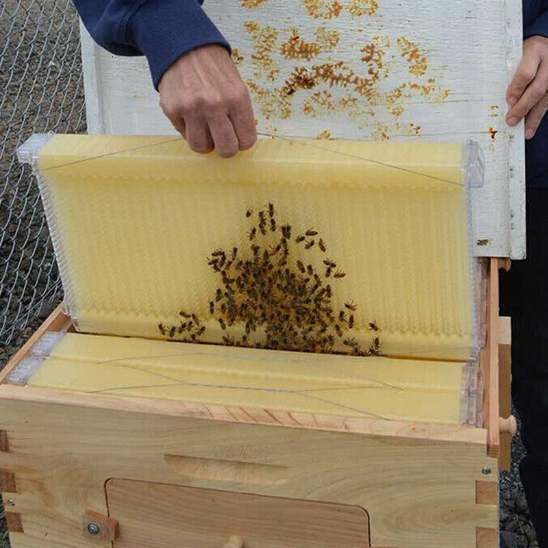 7 Pcs Unassembled Sheets Beehive Wooden Frames Beekeeping Supplies