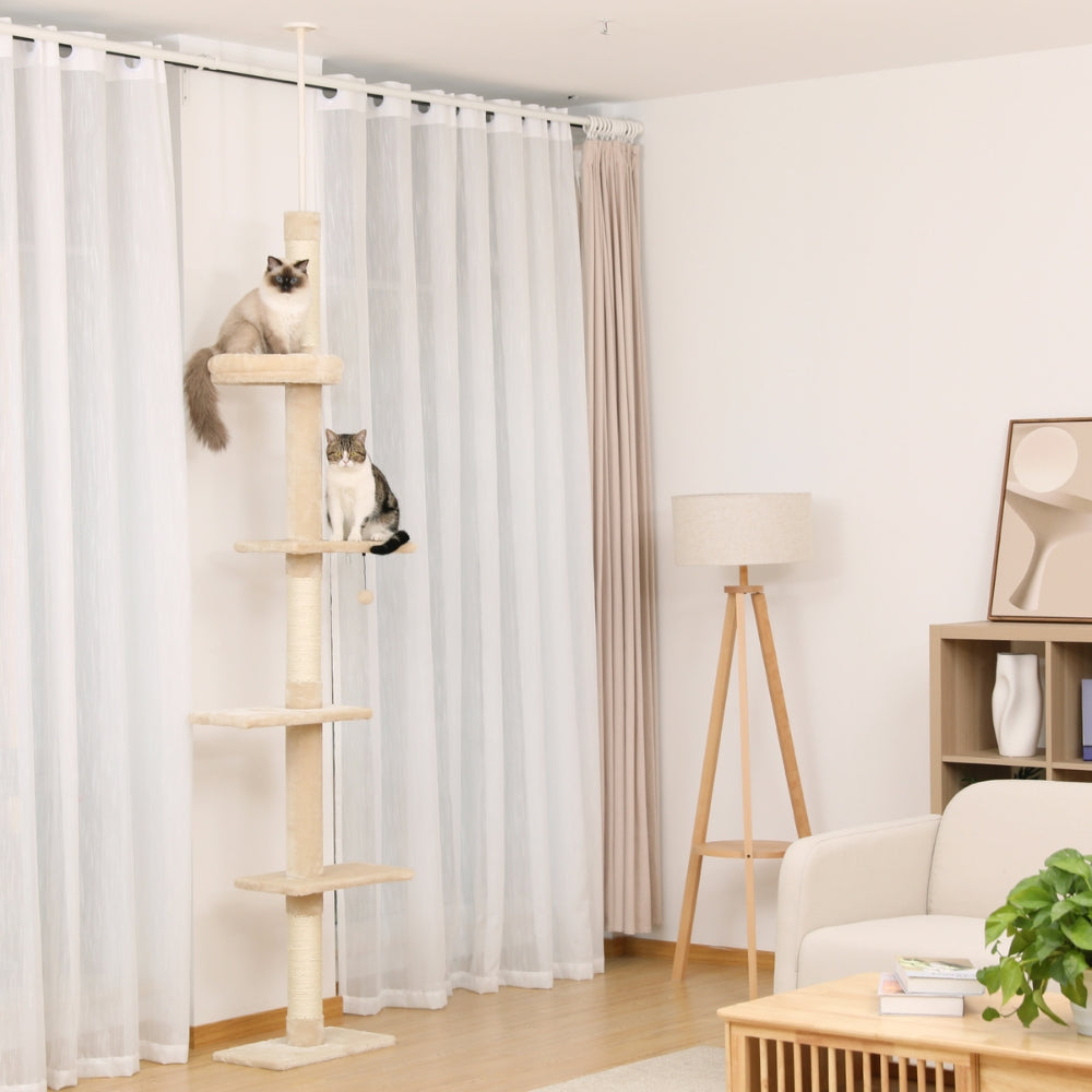 Cactus Cat Tree Floor to Ceiling for Indoor