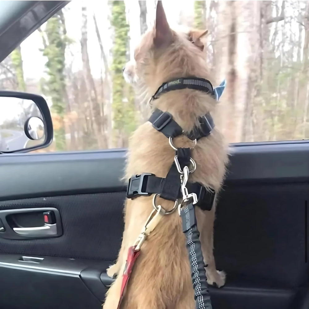 Adjustable Heavy Duty Dog Car Seat Belt with Striped Nylon Design