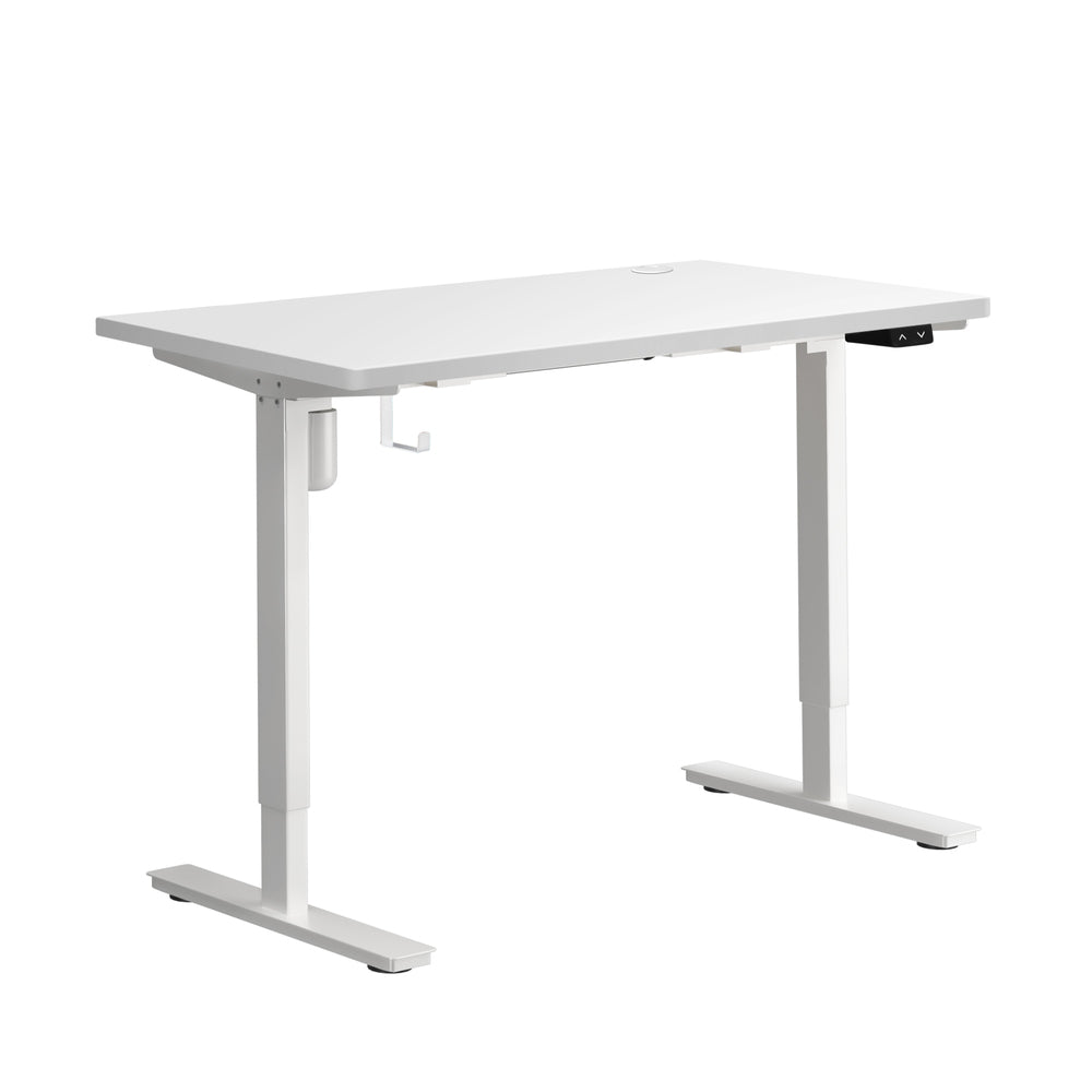 Electric Standing Desk Single Motor 120cm White and Walnut