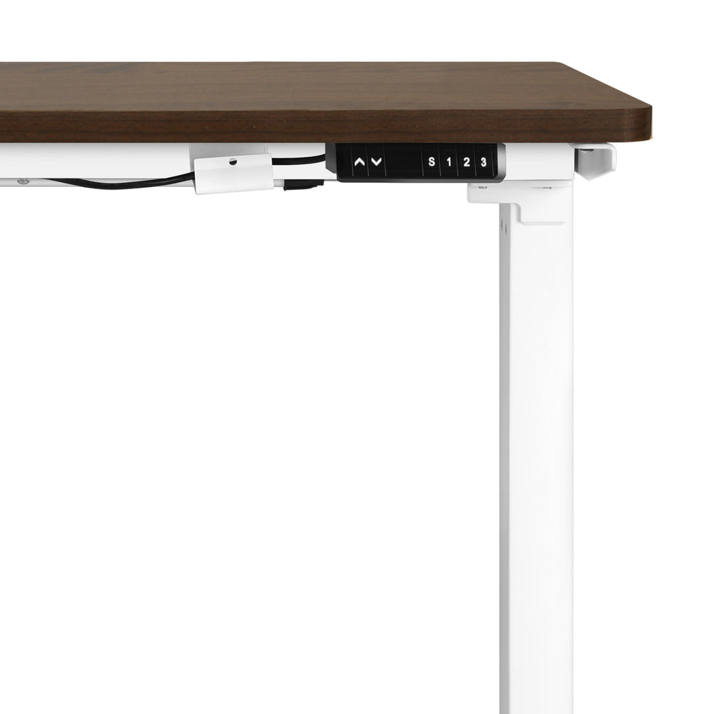 Motorized Adjustable Sit Stand Desk 160cm White and Walnut