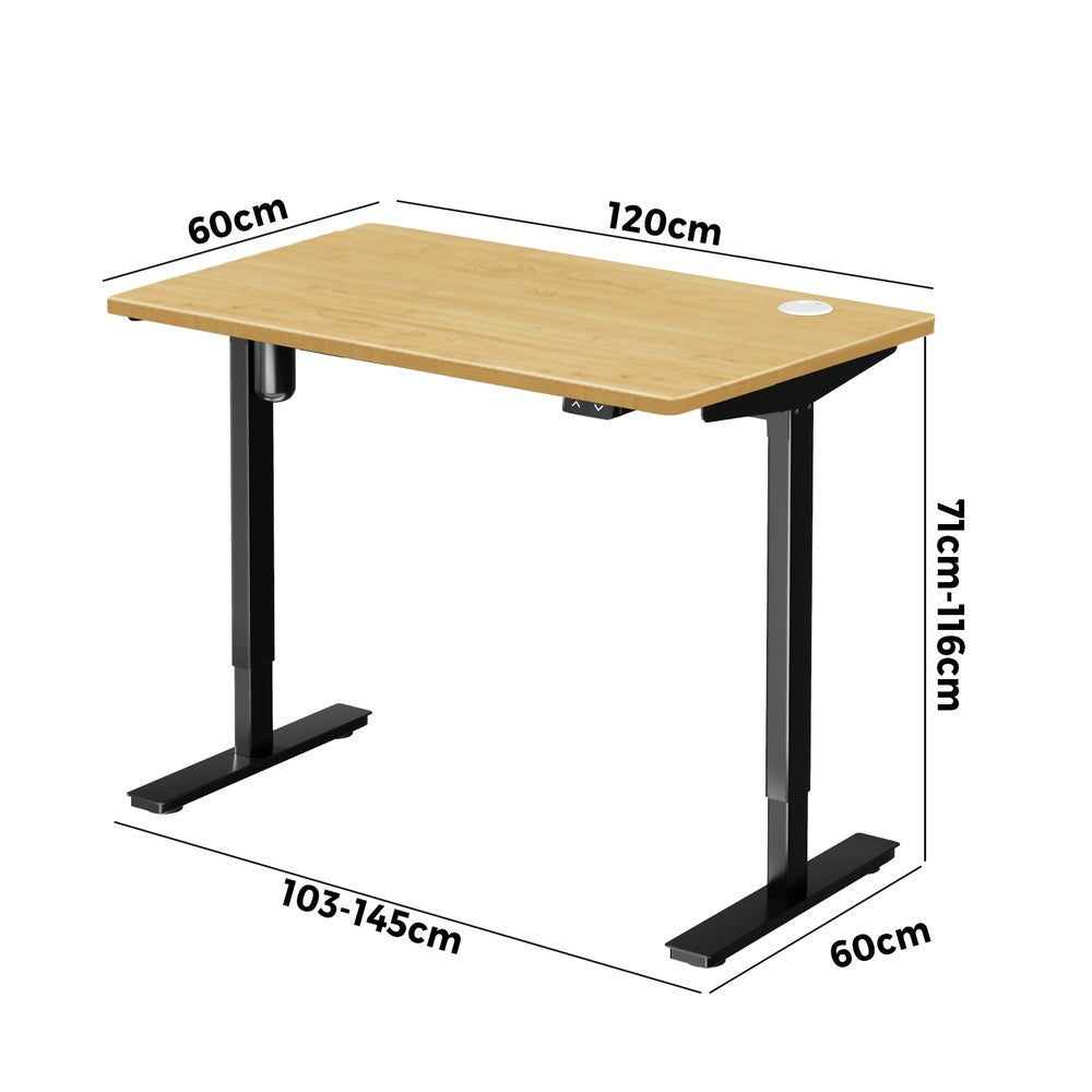 Electric Standing Desk Single Motor 120cm Black and Oak