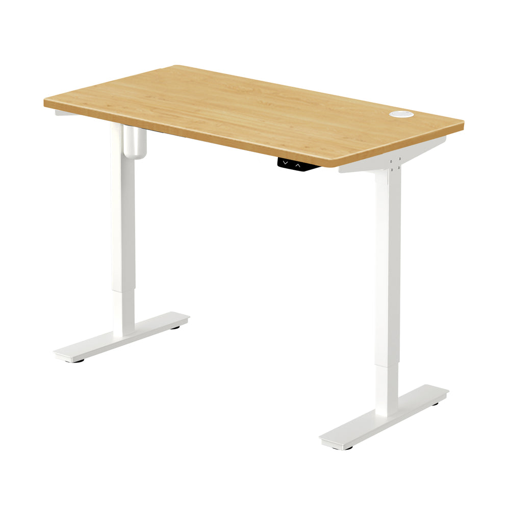 Electric Standing Desk Single Motor White and Oak 150 cm