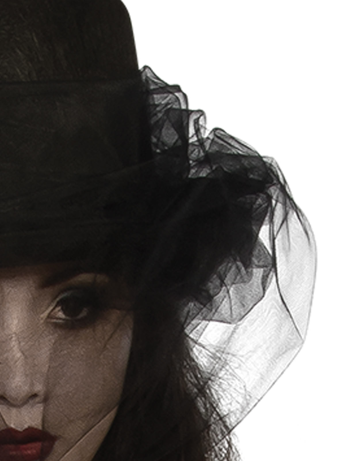 Heart of Darkness Adult Top Hat with Tulle for Halloween Dress Up