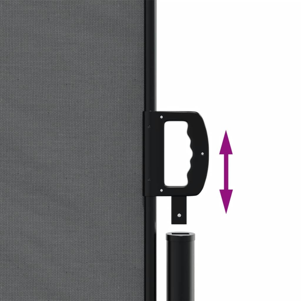 Retractable Side Awning Privacy Screen Outdoor Patio 200x600cm Anthracite