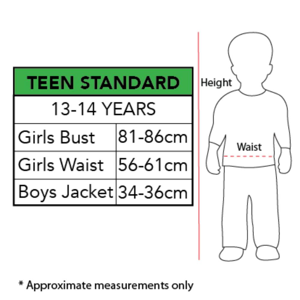 T-Rex Inflatable Costume for Teens Jurassic World Dinosaur Suit with Fan