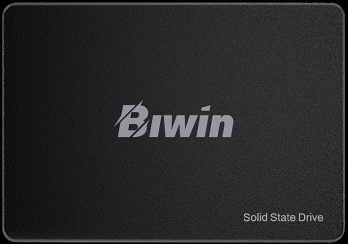BIWIN 512GB 2.5 Inch SATA III SSD Read Speed up to 550MB/s Write Speed up to 480MB/s DRAM-less Solid State Drive RoHS