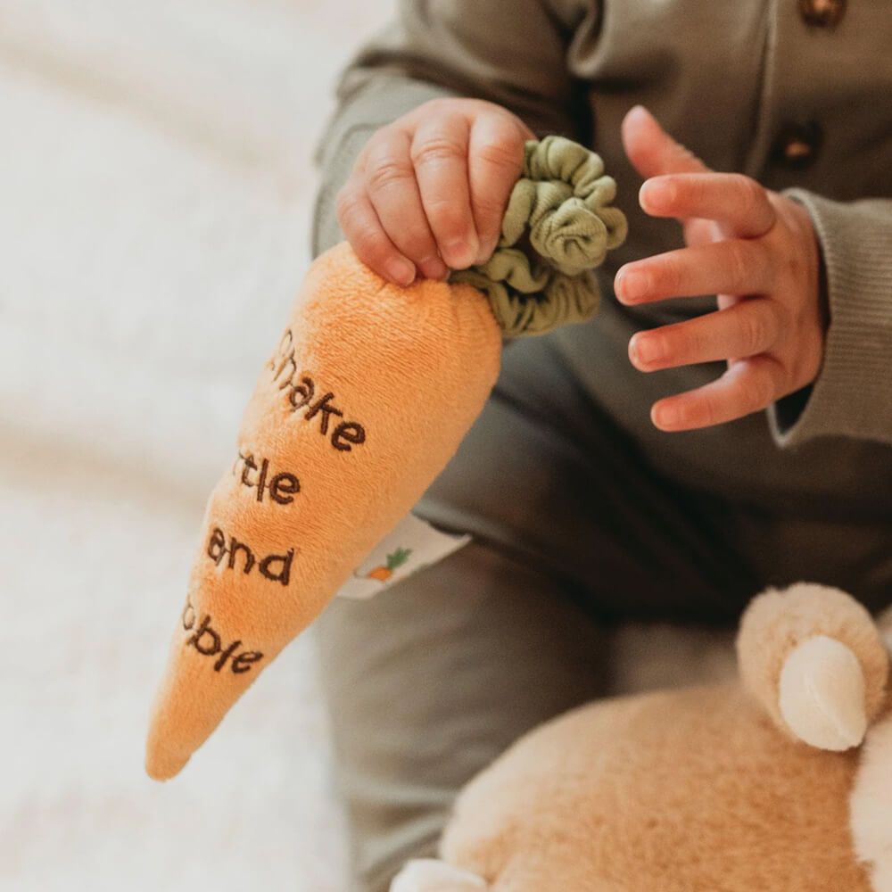Bunnies By The Carrot Rattle Baby Shower Gift Velour Sensory Toy Birth+ Orange
