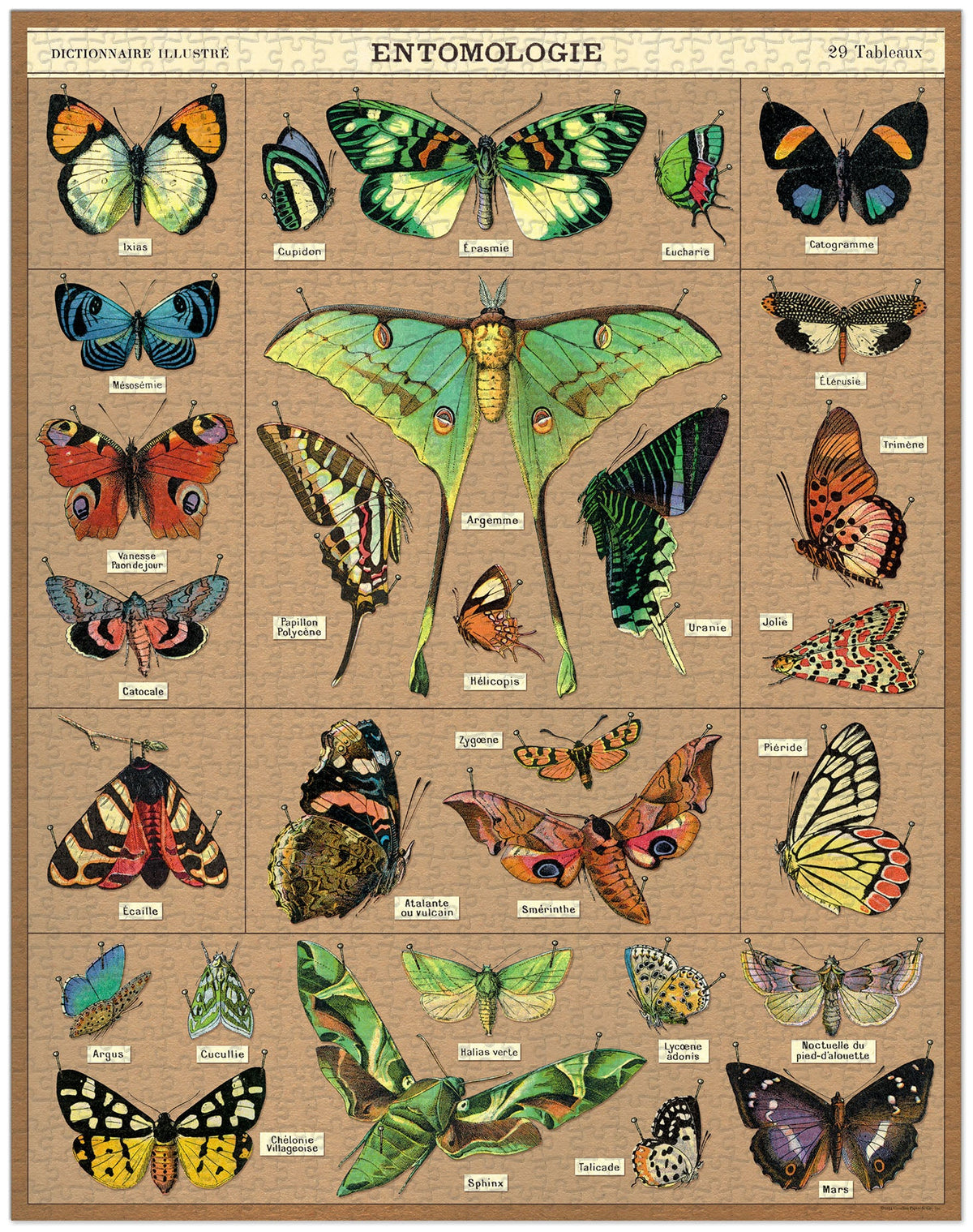 Cavallini Entomology 1000 Piece Jigsaw Puzzle Insects Vintage Poster Guide