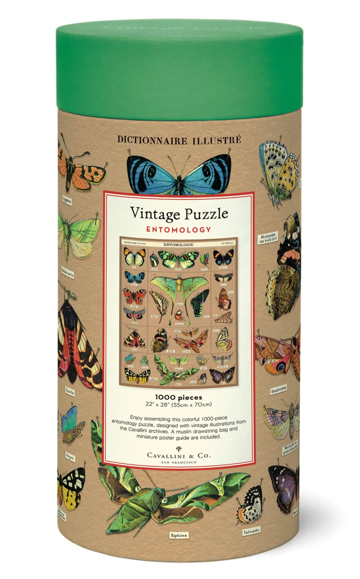 Cavallini Entomology 1000 Piece Jigsaw Puzzle Insects Vintage Poster Guide