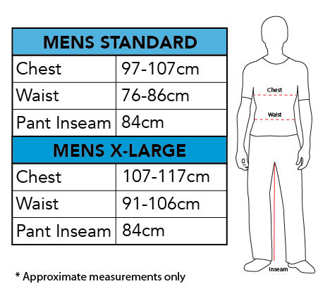 WISEMAN COSTUME ADULT