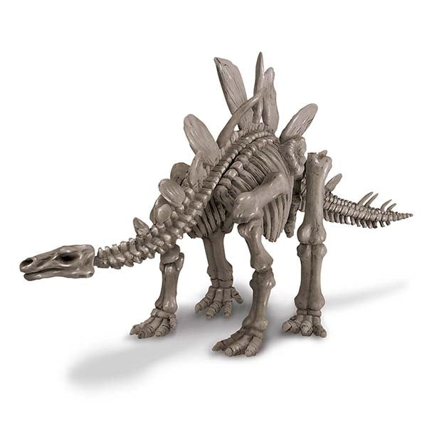 4M Dig a Dinosaur Stegosaurus Excavation Kit Kids Science Toy Skeleton Fossil