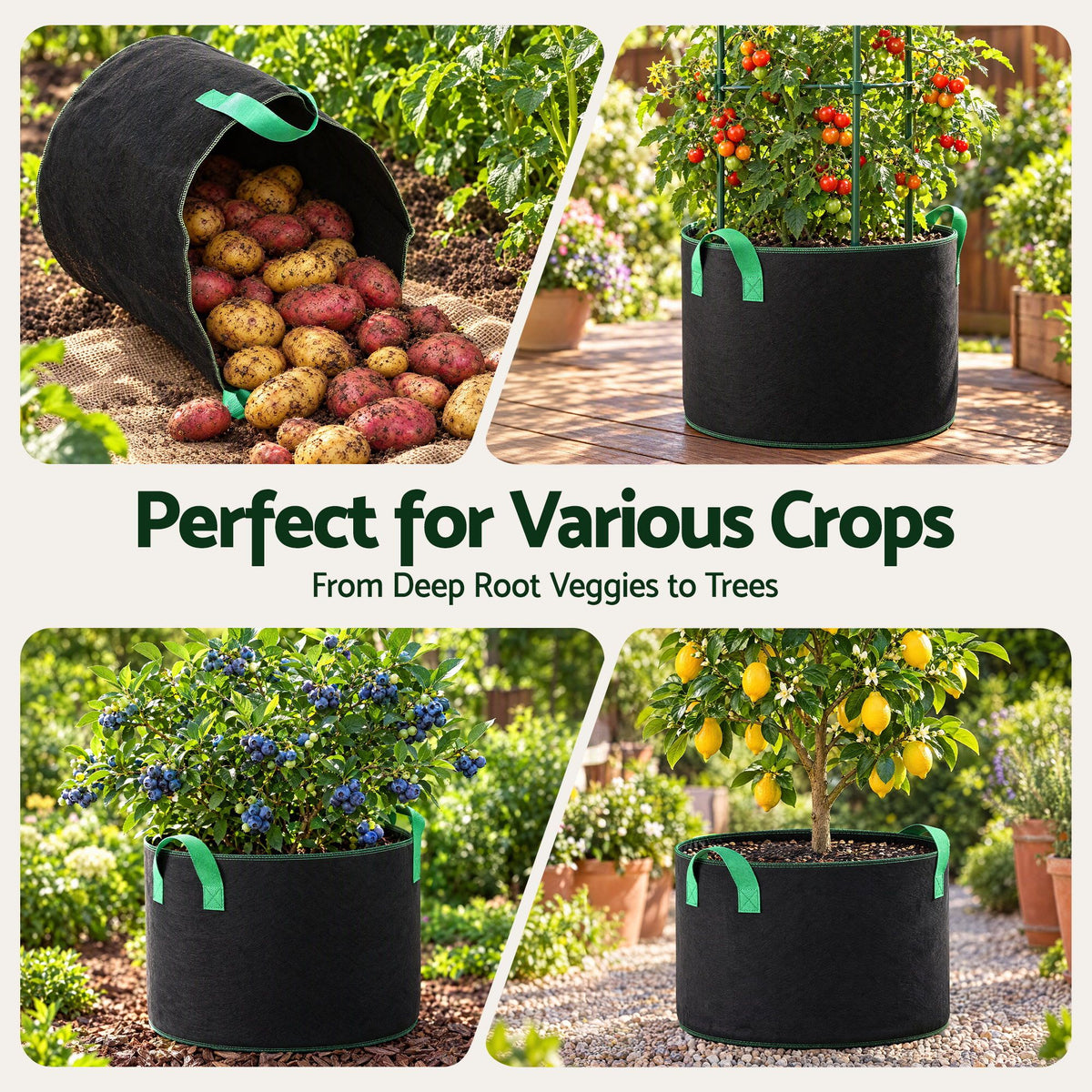 Green Fingers 20 Gallon Grow Bags 300gsm thick Aeration Fabric Pots 10 Pack