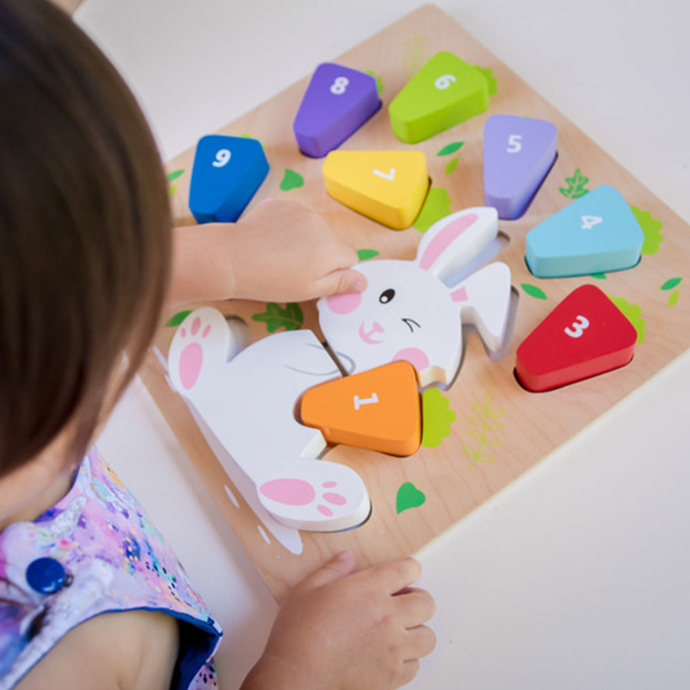 Kiddie Connect 123 Carrot Puzzle Colour Number Matching Preschool Toy 18 Months+