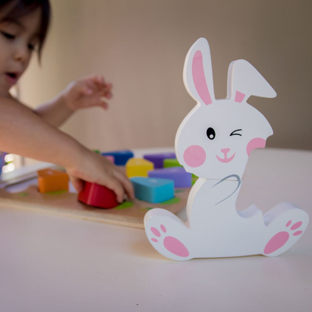 Kiddie Connect 123 Carrot Puzzle Colour Number Matching Preschool Toy 18 Months+