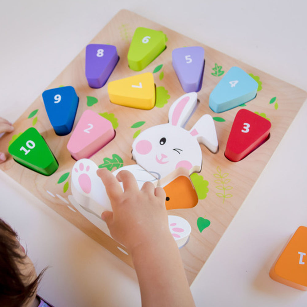 Kiddie Connect 123 Carrot Puzzle Colour Number Matching Preschool Toy 18 Months+
