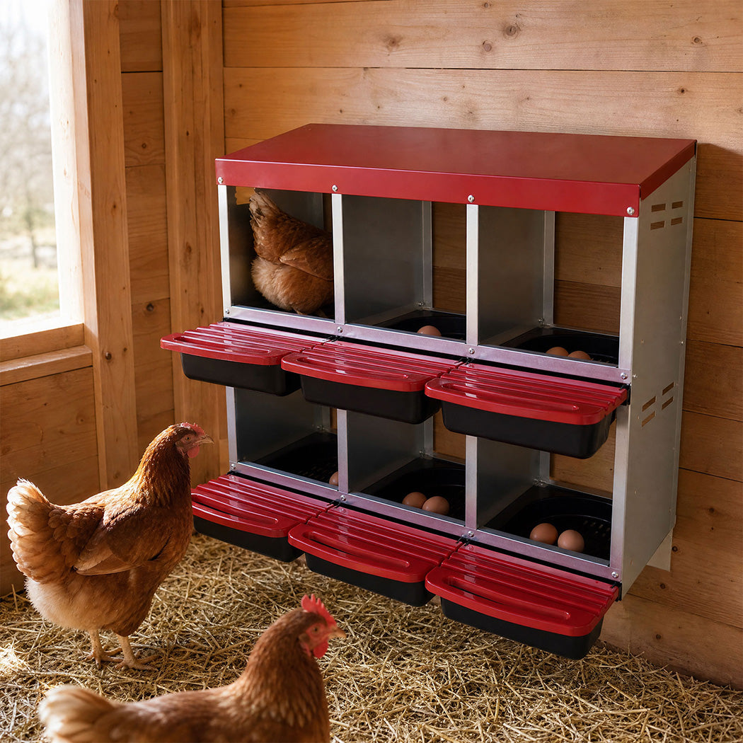 Pawz Chicken Hen Coop Hutch 6 Hole Double Layer Roll Away Lay Egg Nesting Box-2061251867110936582