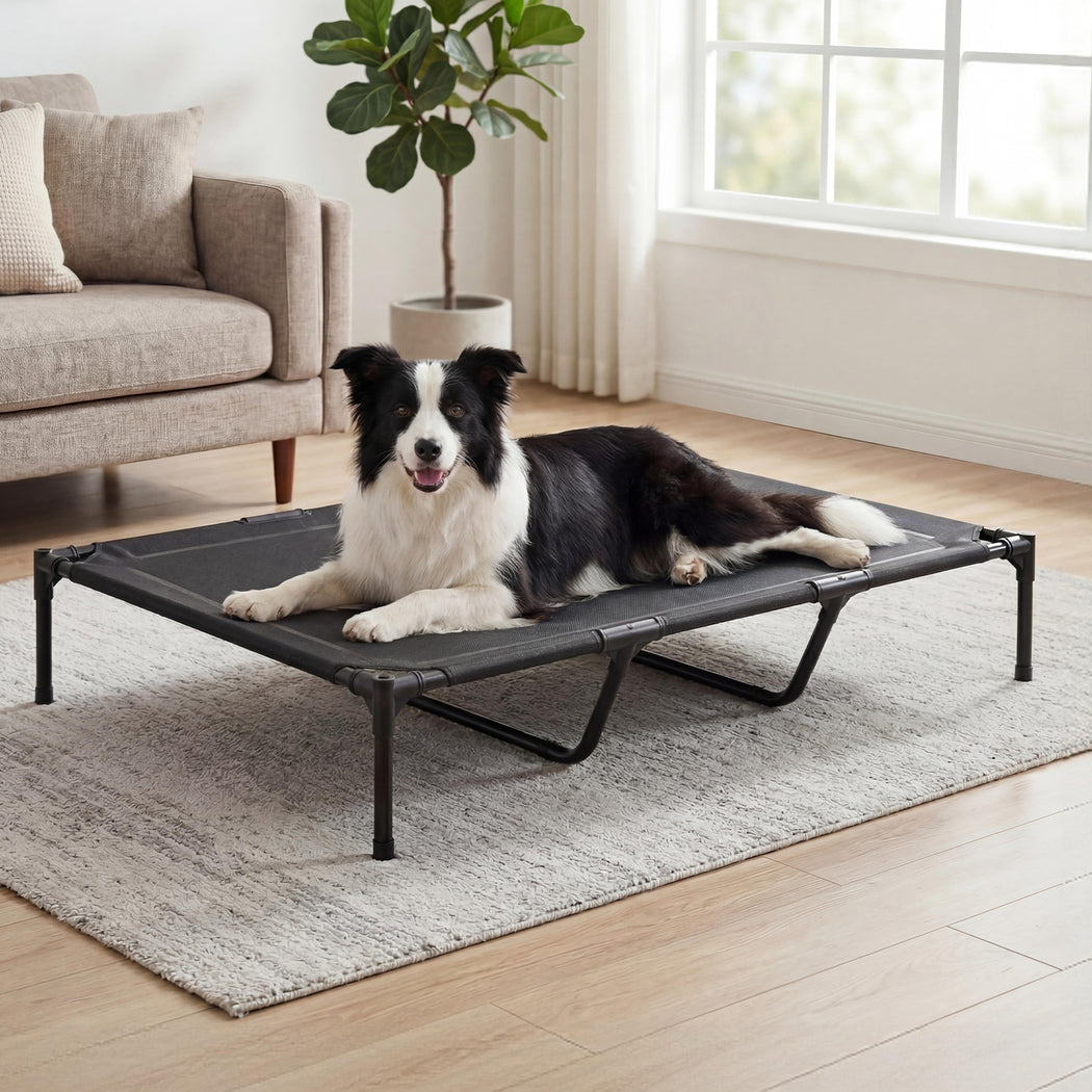 Pawz Elevated Dog Bed Heavy Duty Portable Cot  Waterproof Pet Raised Bed XL Size-2065254305828573191