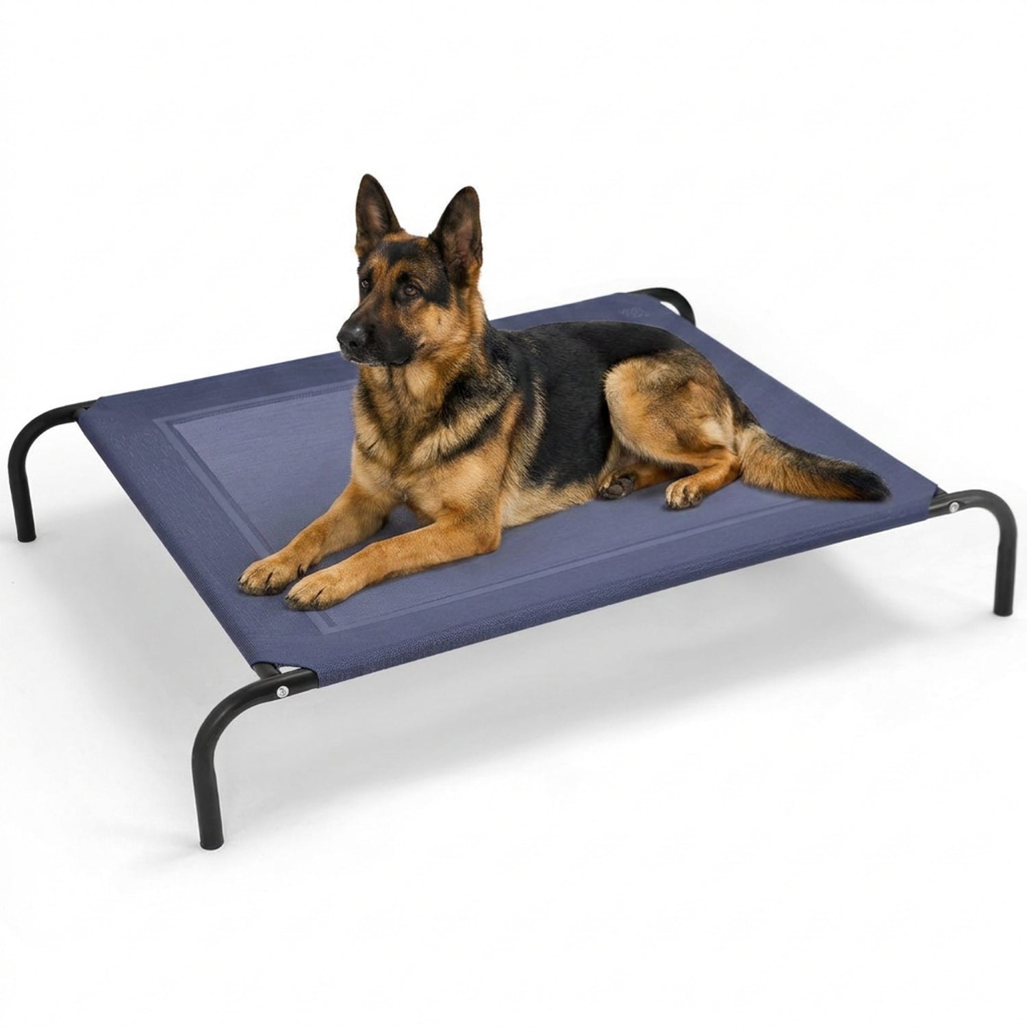 Elevated Pet Bed for Large Dogs Cot for Indoor and Outdoor Home Furniture