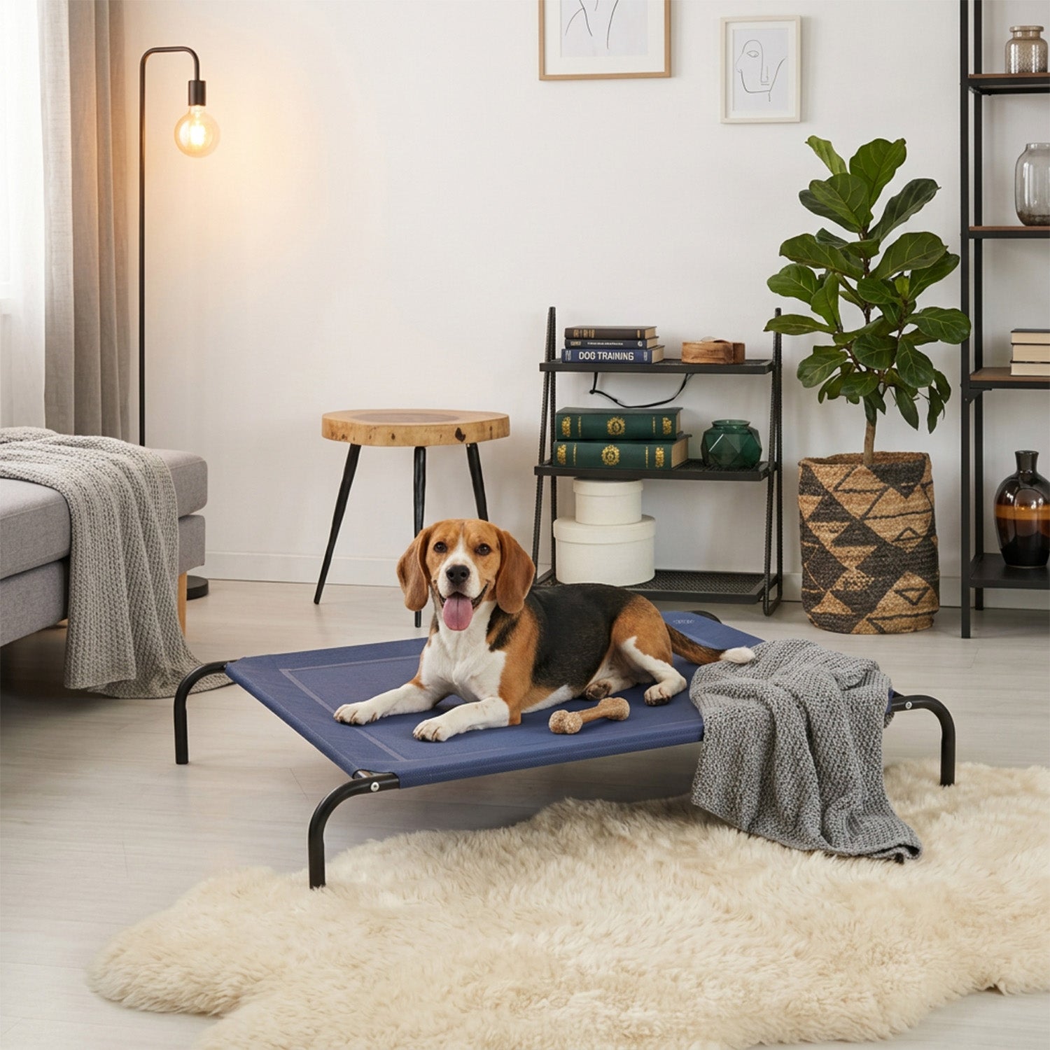 Elevated Pet Bed for Large Dogs Cot for Indoor and Outdoor Home Furniture
