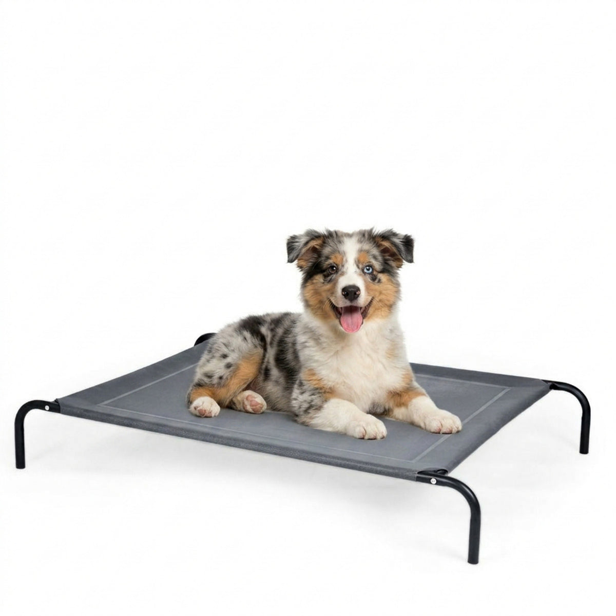 Elevated Pet Bed for Large Dogs Cot for Indoor and Outdoor Home Furniture
