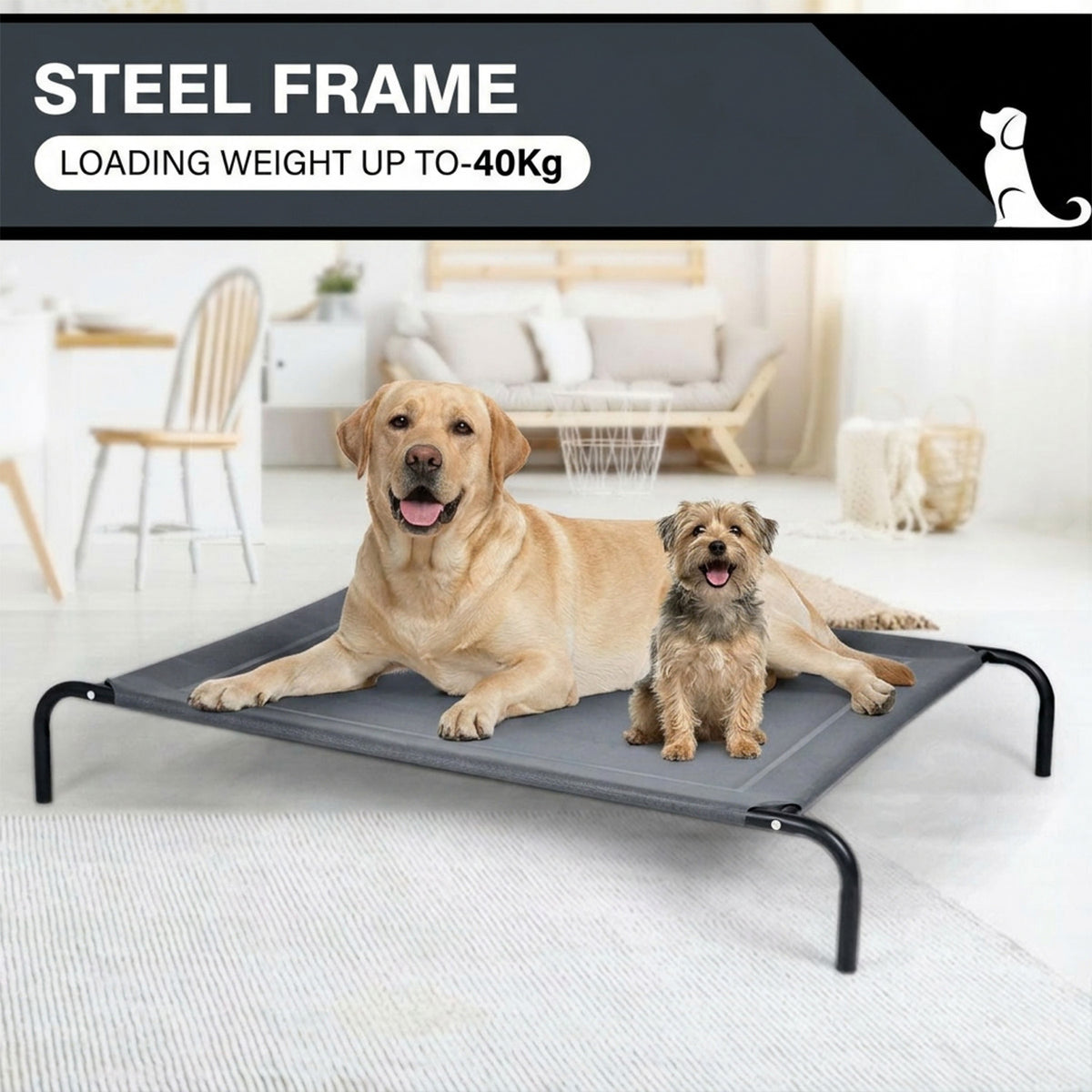Elevated Pet Bed for Large Dogs Cot for Indoor and Outdoor Home Furniture