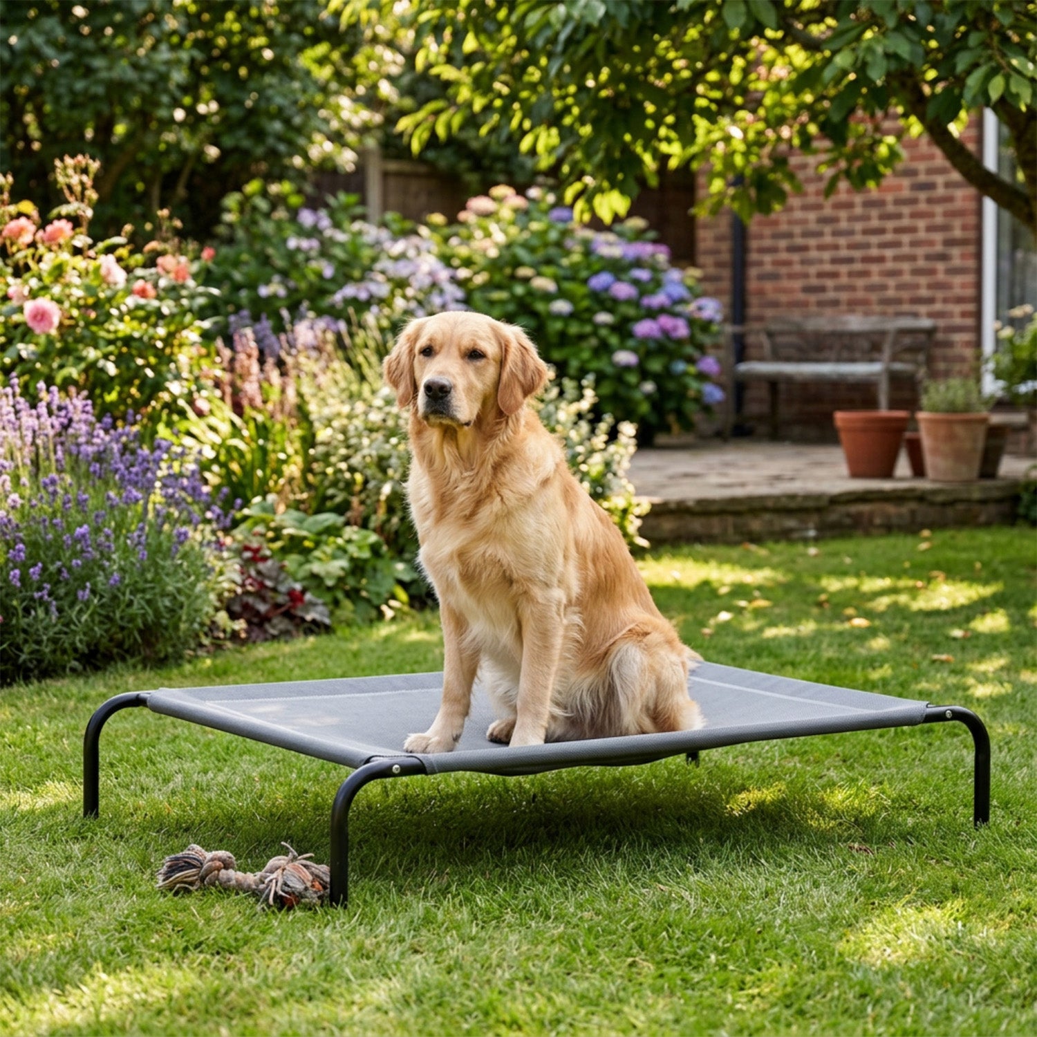 Elevated Pet Bed for Large Dogs Cot for Indoor and Outdoor Home Furniture