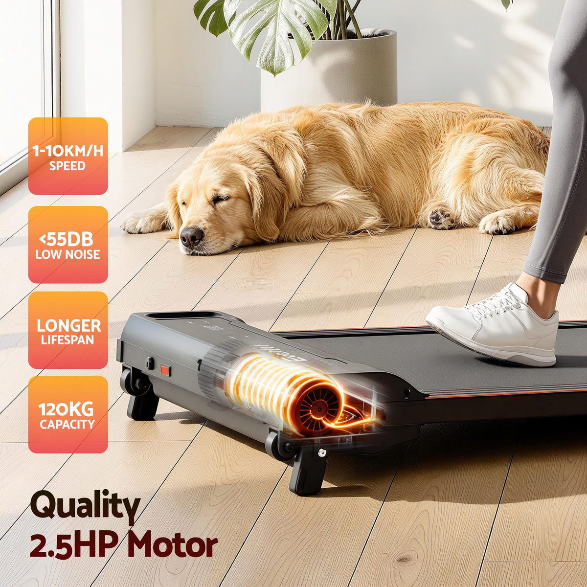 Everfit 3 in 1 Walking Pad Treadmill 12% Incline Under Desk Treadmills With Belt