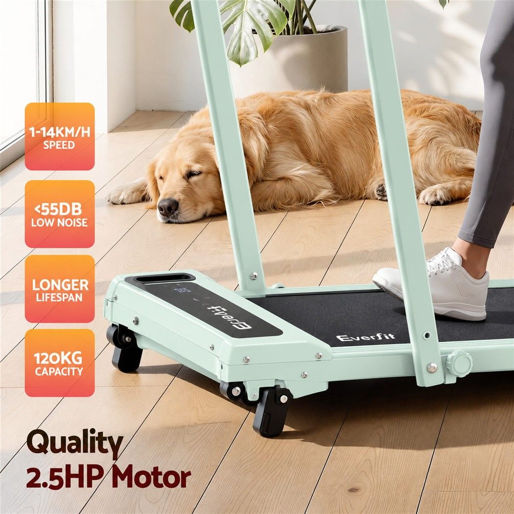 Everfit 3 in 1 Walking Pad Treadmill 12% Incline Foldable Under Desk 40cm Green