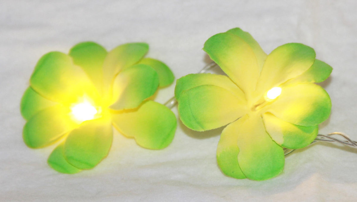 1 Set 20 LED Green Frangipani Flower Battery String Lights