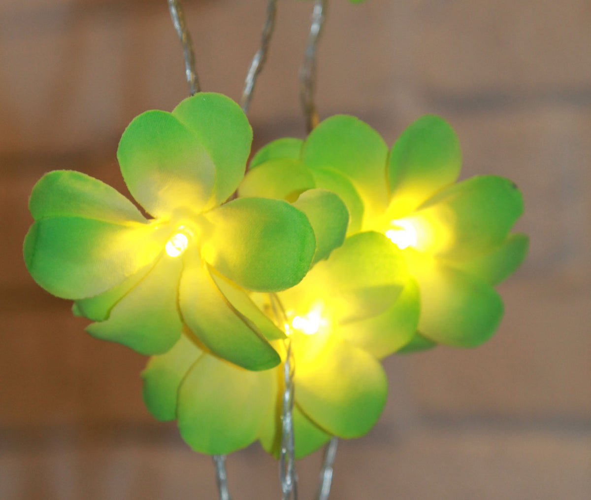 1 Set 20 LED Green Frangipani Flower Battery String Lights