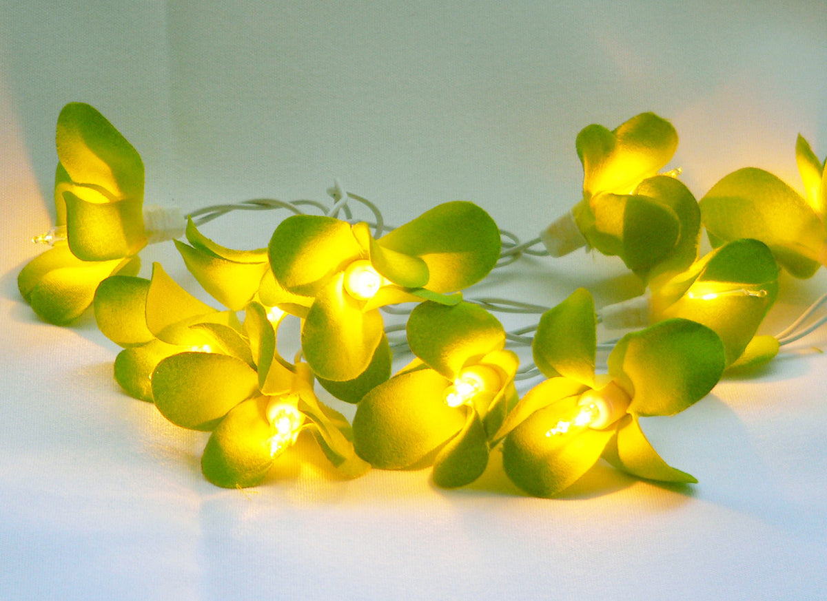 1 Set 20 LED Green Frangipani Flower Battery String Lights