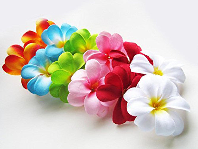 Frangipani LED String Lights Battery Powered 20 Flowers 3m Tropical Colours