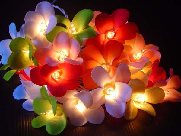 Frangipani LED String Lights Battery Powered 20 Flowers 3m Tropical Colours