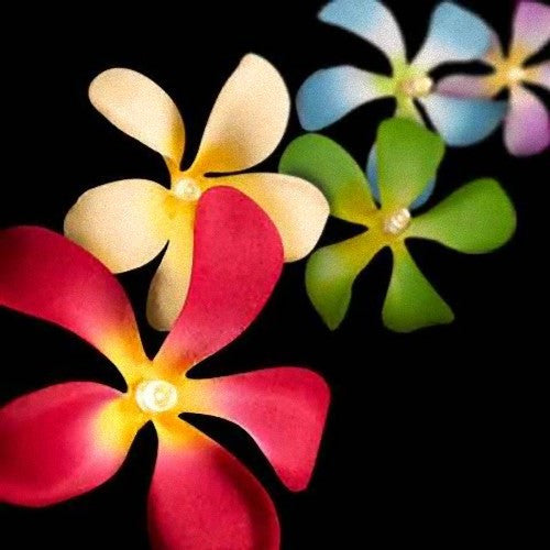 Frangipani LED String Lights Battery Powered 20 Flowers 3m Tropical Colours