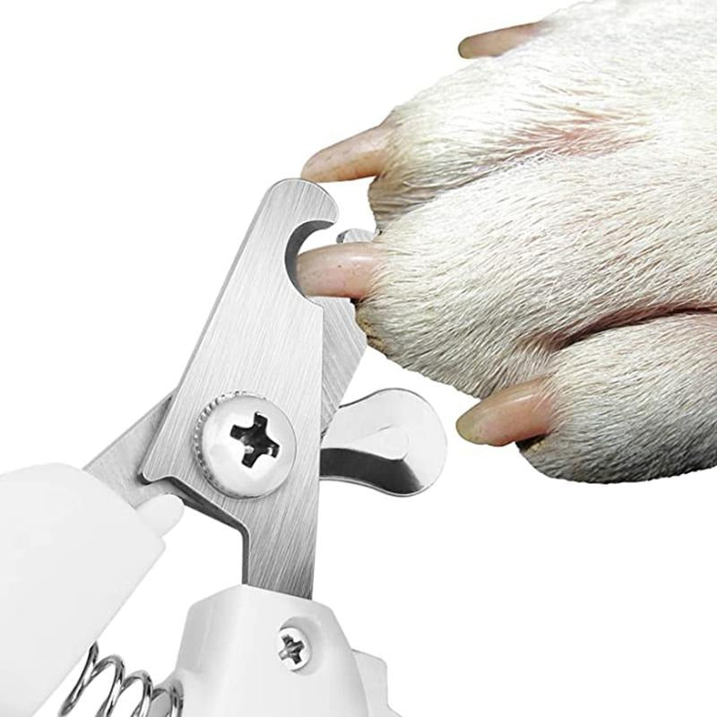 Pet Grooming Scissors and Nail Clipper