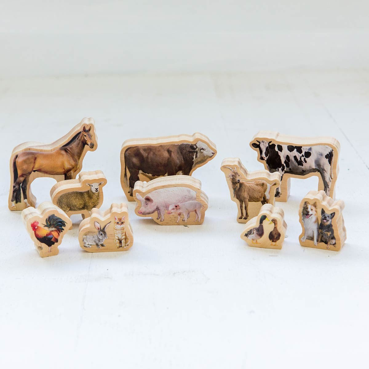 Wooden Farm Animal Figures for Activity Play Set - 10 Pieces