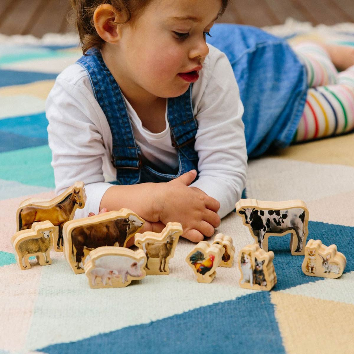 Wooden Farm Animal Figures for Activity Play Set - 10 Pieces
