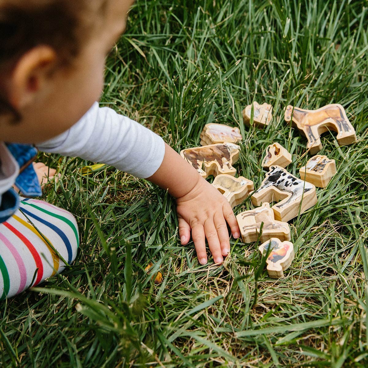 Wooden Farm Animal Figures for Activity Play Set - 10 Pieces