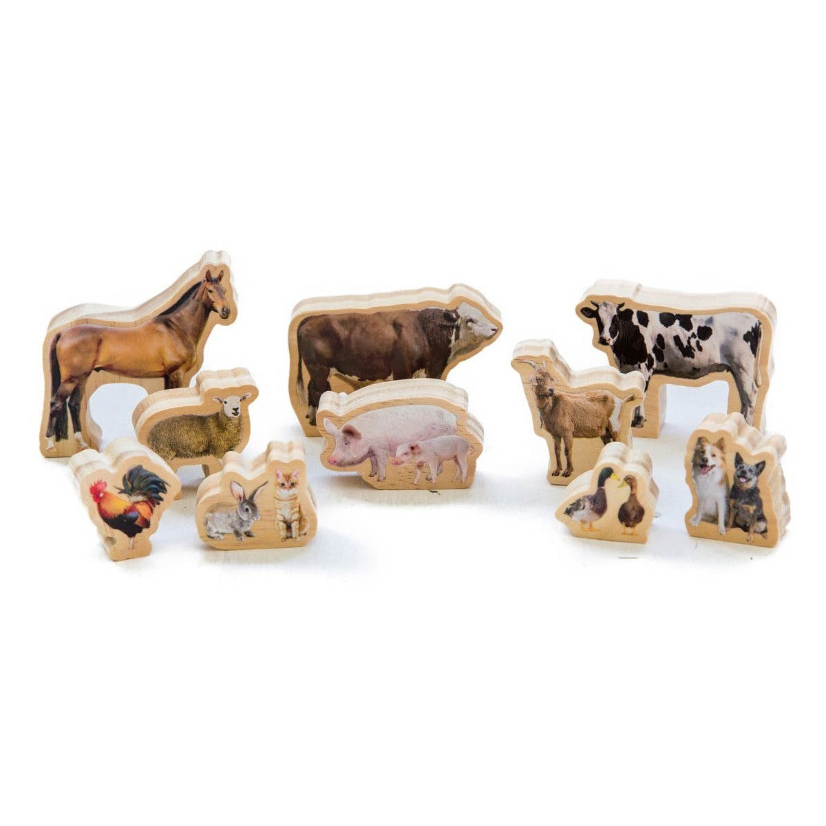 Wooden Farm Animal Figures for Activity Play Set - 10 Pieces
