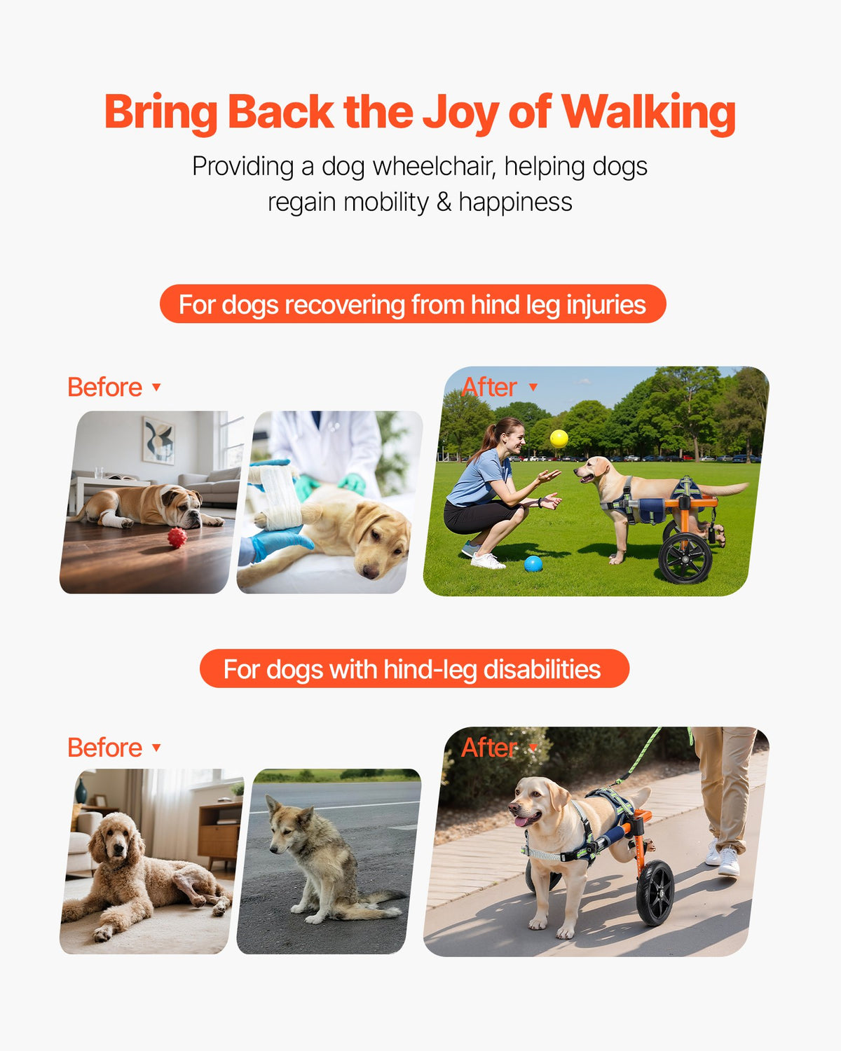 Dog Wheelchair Back Legs 2 Wheels Adjustable Cart Shock-Absorbing Wheels Medium