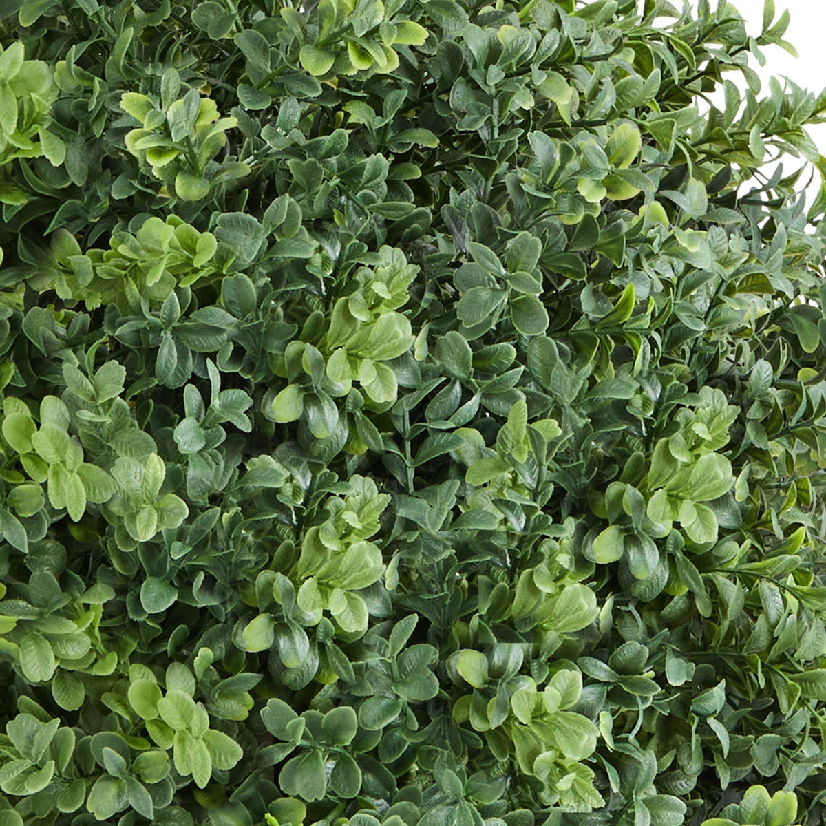 Artificial Topiary Boxwood Trees 2-Pack 559mm Faux Shrubs with Ground Spike