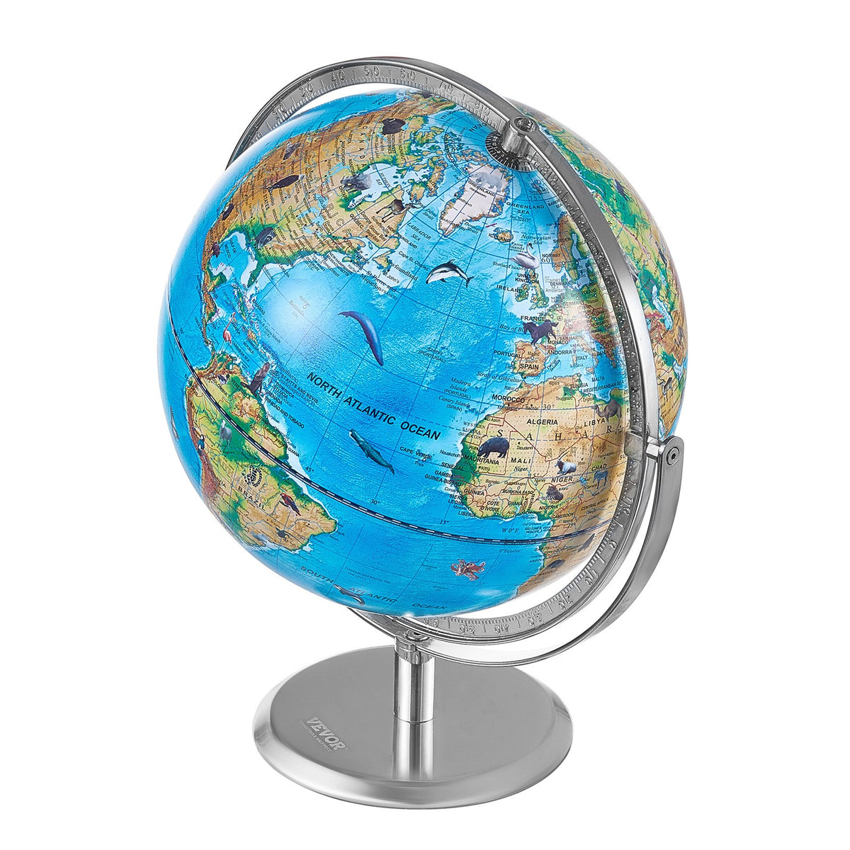 Interactive 254mm AR Educational Globe for Kids with LED Light and 720° Rotation