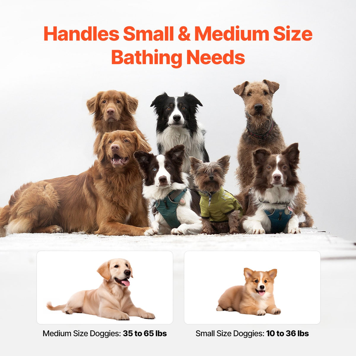 Portable Dog Bathtub Elevated Foldable Shower Station Small Medium DogsCats Blue