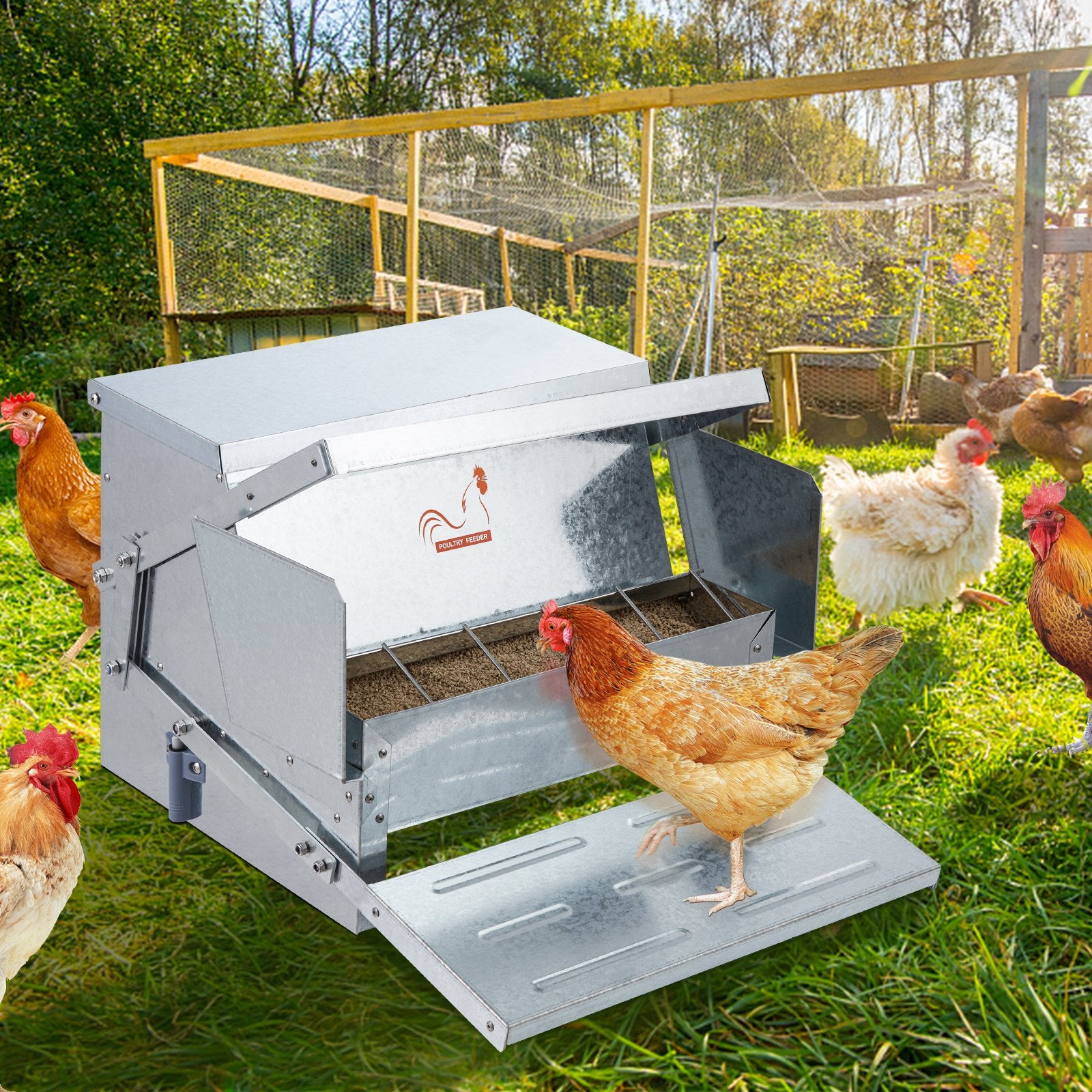 Automatic Chicken Feeder 25 lb Galvanized Steel Poultry Feeder for 10 Chickens