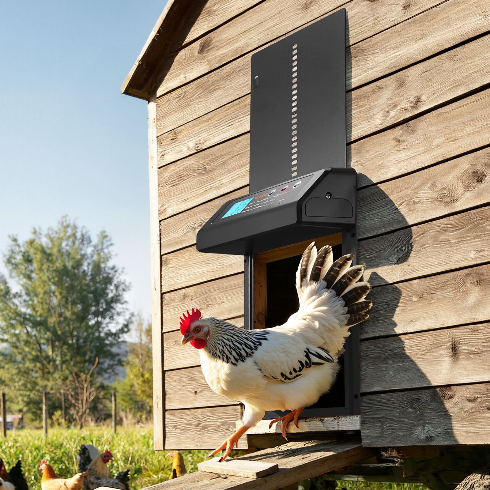 Automatic Chicken Coop Door Battery Powered Timer Anti-Pinch Aluminum Alloy