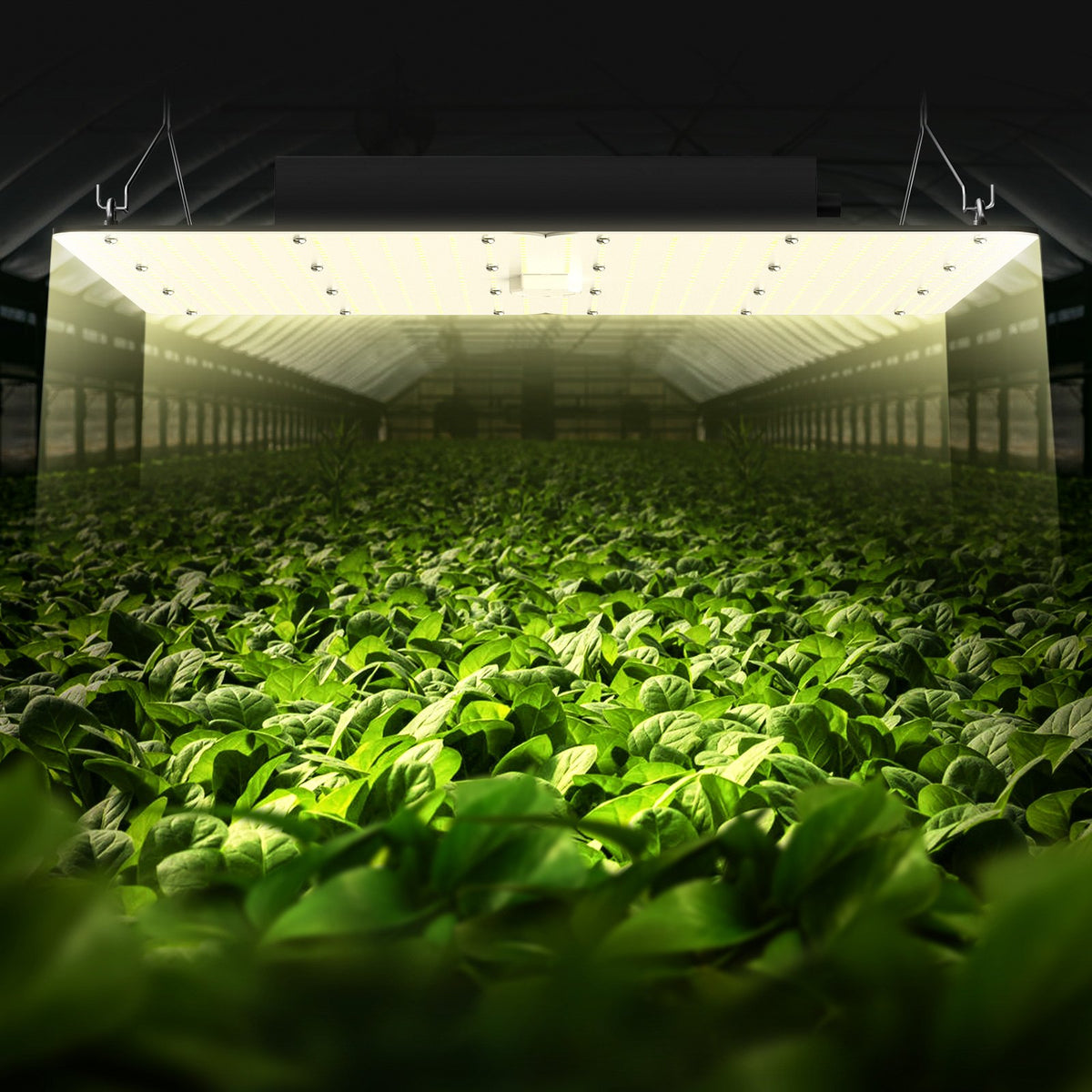 LED Grow Light 400W Full Spectrum Dimmable Samsung 2B1B for Indoor Plants